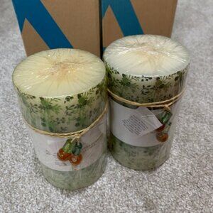 Avon 2006 Wick Candle Holiday Winter Home Fragrance Collection Lot of 2 Candles